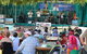Festival In The Park - thumb 0