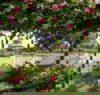 Griffith Spring Fest - Great Ocean Road Restaurant