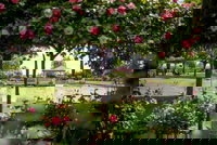 Griffith Spring Fest