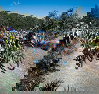 JetBlack Wild Wombat MTB Challenge - Great Ocean Road Restaurant