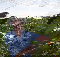 Kingsdale Wines - Cellar Door Wine Tastings - Great Ocean Road Restaurant