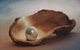 Lecture Cancelled:  ADFAS  Lecture (Half-Day) - Patricia Law Speaking On Pearls And Diamonds - thumb 0