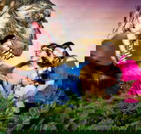 Meet the Dinosaurs at Scitech - Great Ocean Road Restaurant