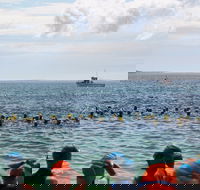 Nowra Toyota triHusky Huskisson Triathlon Festival Little Husky - Great Ocean Road Restaurant