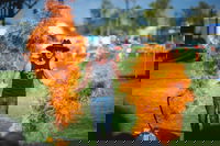 Outback Festival