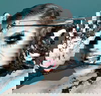 Reuben Kaye Comes Out to Play - Great Ocean Road Restaurant