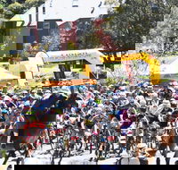 Snowies MTB Festival - Great Ocean Road Restaurant