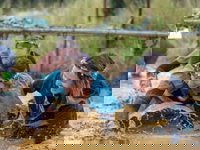 Book Eurunderee Accommodation Vacations Great Ocean Road Restaurant Great Ocean Road Restaurant