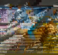 Top Gun and Young Gun Series Round 7 - Great Ocean Road Restaurant