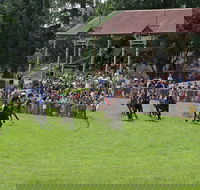 Tumut Derby Day - Great Ocean Road Restaurant