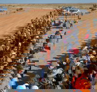 28th Marree Australasian CAMEL CUP 3 July 2021 - Great Ocean Road Restaurant
