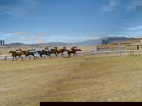 Adaminaby Cup Race Day