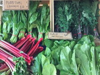Albury Wodonga Farmers Market