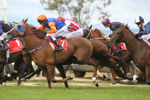Albury Racing Club January Race Day - Great Ocean Road Restaurant 1