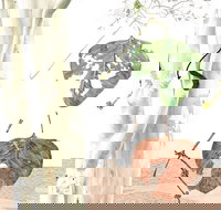 Artistic Endeavour - Great Ocean Road Restaurant