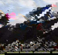 Batemans Bay Cup - Great Ocean Road Restaurant