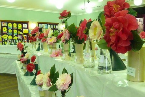 Blackheath Flower And Craft Show - Great Ocean Road Restaurant 1
