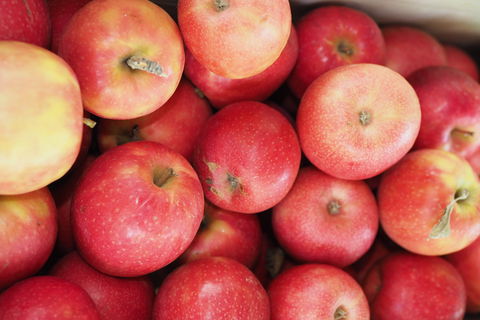 Blayney Farmers' Market - Great Ocean Road Restaurant 1