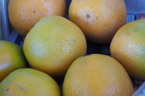 Blayney Farmers' Market - Great Ocean Road Restaurant 2