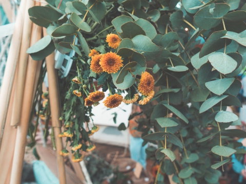 Boho Luxe Market - Adelaide - Great Ocean Road Restaurant 1