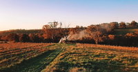Book Lidster Accommodation Vacations Great Ocean Road Restaurant Great Ocean Road Restaurant