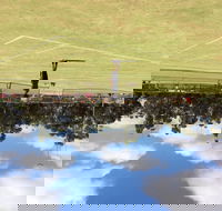 Charlton Lawn Tennis Club Annual Tournament - Great Ocean Road Restaurant