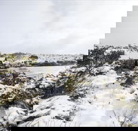 Christmas in July at Cradle Mountain Hotel 2020 - Great Ocean Road Restaurant
