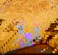 Christmas Lights Spectacular New Year's Eve at Hunter Valley Gardens - Great Ocean Road Restaurant