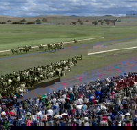 Cooma Sundowners Cup - Great Ocean Road Restaurant