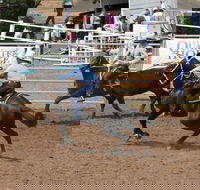 Dalgety Team Penning - Great Ocean Road Restaurant