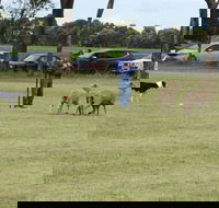 Dean Sheepdog Trials - Old Sniff Classic - Great Ocean Road Restaurant