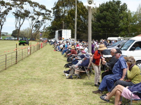Dean Sheepdog Trials - Old Sniff Classic - Great Ocean Road Restaurant 1
