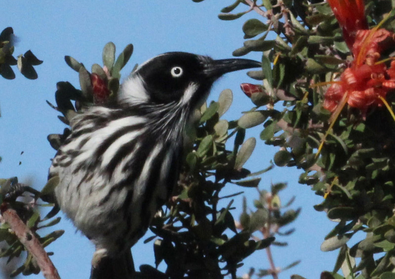 Bandy Creek WA Great Ocean Road Restaurant