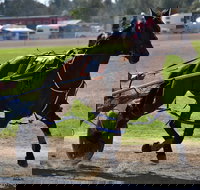 Forbes Show - Great Ocean Road Restaurant