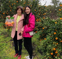 Fruit Taste Adventure Tours - Great Ocean Road Restaurant
