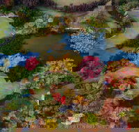 Glenrock Gardens Open Garden - Great Ocean Road Restaurant