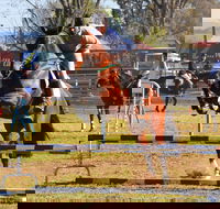 Glen Innes Pastoral and Agricultural Show - Great Ocean Road Restaurant