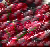 Griffith Rotary Market - Great Ocean Road Restaurant