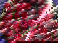 Griffith Rotary Market