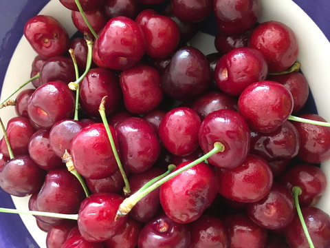 Griffith Rotary Market - Great Ocean Road Restaurant 0