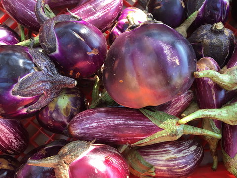 Griffith Rotary Market - Great Ocean Road Restaurant 1