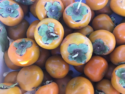 Griffith Rotary Market - Great Ocean Road Restaurant 2