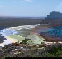 Head to Head Walk Run - Great Ocean Road Restaurant