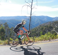 High Country Women's Cycling Festival - Great Ocean Road Restaurant