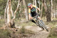 Book Rydal Accommodation Vacations Great Ocean Road Restaurant Great Ocean Road Restaurant