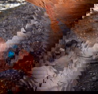 Learn all about Australia's Hidden Treasures - The Kimberley - Great Ocean Road Restaurant