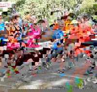MAAS Group Dubbo Stampede Running Festival - Great Ocean Road Restaurant