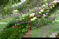 Millthorpe Garden Ramble