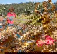 Mini Muddies Obstacle Challenge at Bunnamagoo Estate - Great Ocean Road Restaurant