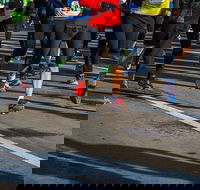 Moruya Town to Surf Fun Run - Great Ocean Road Restaurant